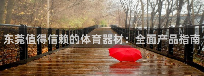 东莞值得信赖的体育器材：全面产品指南