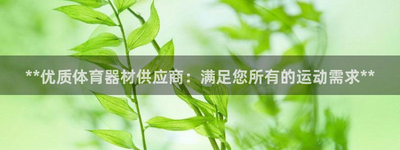 极悦娱乐的背景和历史背景分析：**优质体育器材供应商