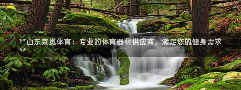 极悦官网登录入口网址：**山东京奥体育：专业的体育器
