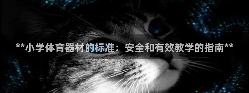 极悦平台app二维码怎么弄：**小学体育器材的标准：