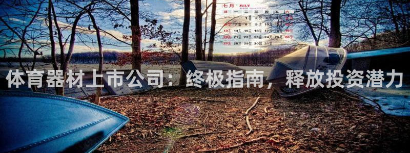 极悦官网首页登录入口网站：体育器材上市公司：终极指南