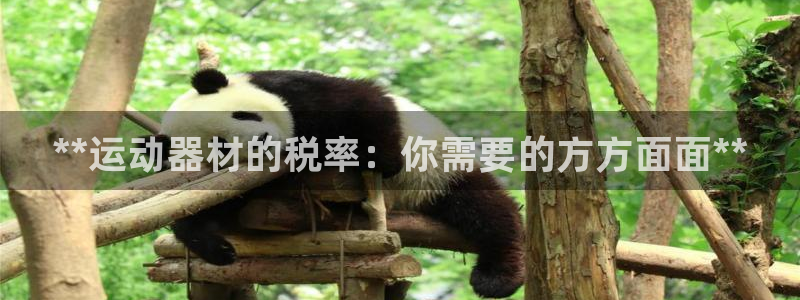 极悦娱乐创始人背景故事简介：**运动器材的税率：你需