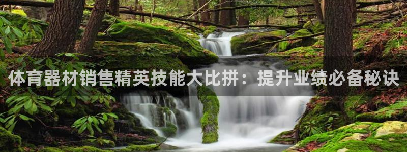 极悦平台注册官网：体育器材销售精英技能大比拼：提升业