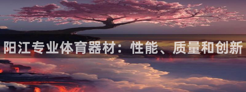 加盟极悦教育要多少钱：阳江专业体育器材：性能、质量和