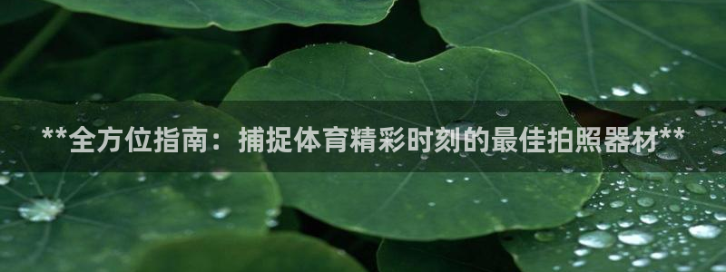 石家庄极悦空间设计有限公司：**全方位指南：捕捉体育