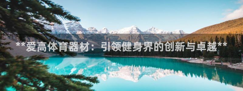 极悦娱乐创始人背景故事是什么：**爱高体育器材：引领