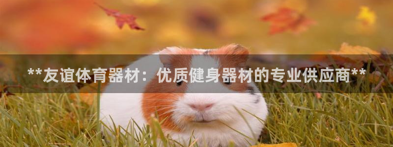极悦平台客服投诉电话是多少号码：**友谊体育器材：优