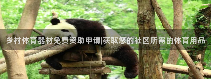 极悦平台注册用户名验证不了：乡村体育器材免费资助申请