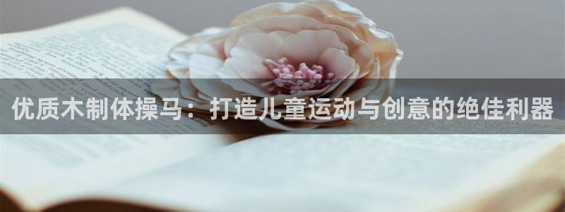 极悦官网入口登录：优质木制体操马：打造儿童运动与创意