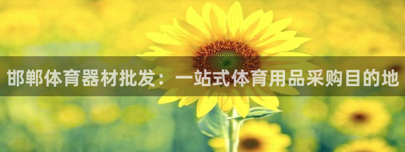 极悦平台登录方式是什么：邯郸体育器材批发：一站式体育