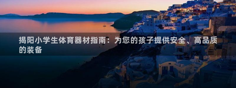 极悦官方网站app下载：揭阳小学生体育器材指南：为您