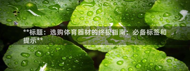 极悦官网旗舰店是正品吗：**标题：选购体育器材的终极