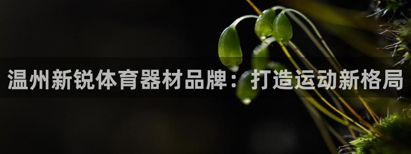 极悦娱乐负责人是谁：温州新锐体育器材品牌：打造运动新