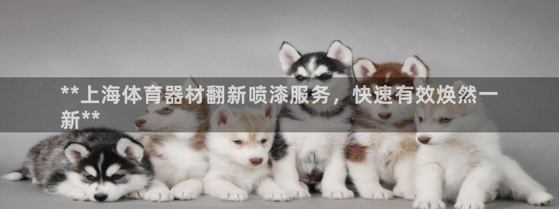 极悦平台客服的联系方式是：**上海体育器材翻新喷漆服