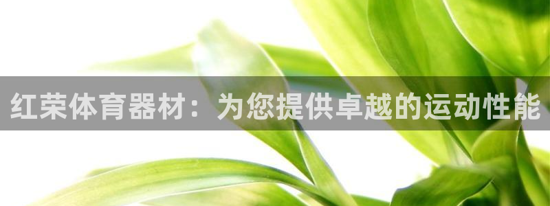 极悦平台注册用户名格式：红荣体育器材：为您提供卓越的