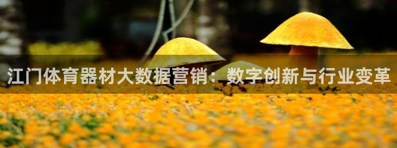 极悦娱乐登录拒绝访问怎么办啊：江门体育器材大数据营销