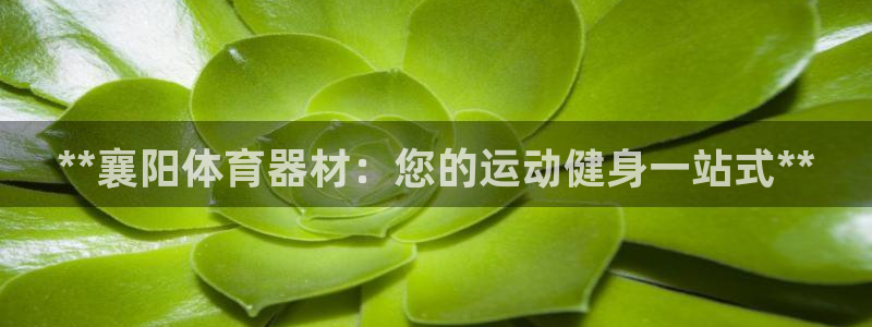 极悦娱乐公司最新招聘信息网：**襄阳体育器材：您的运