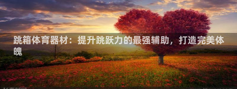 极悦平台非7O777：跳箱体育器材：提升跳跃力的最强
