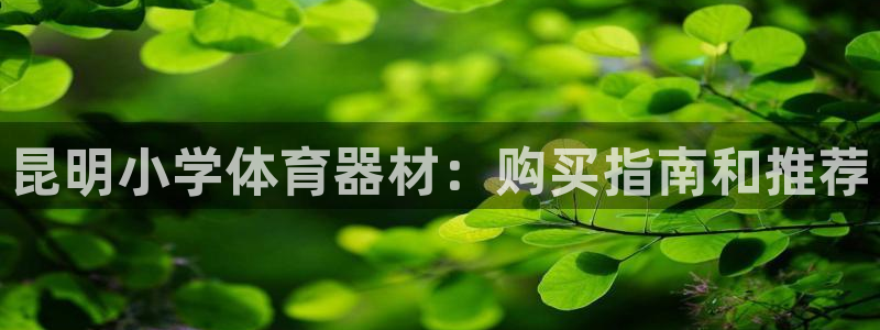 极悦娱乐股东有哪些：昆明小学体育器材：购买指南和推荐