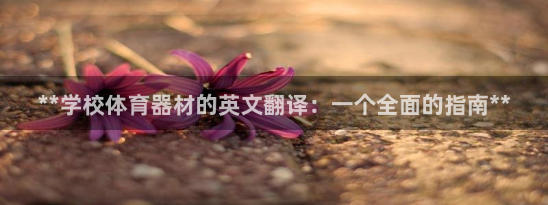 加盟极悦教育：**学校体育器材的英文翻译：一个全面的