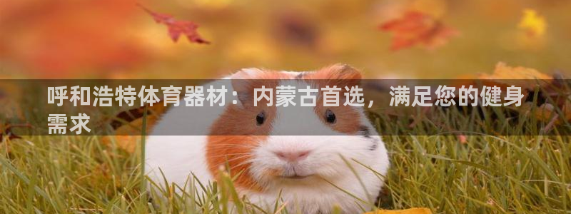 极悦平台官方网站首页下载：呼和浩特体育器材：内蒙古首