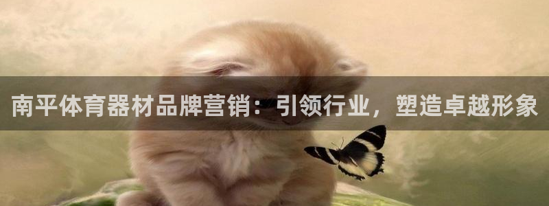 极悦娱乐负责人电话：南平体育器材品牌营销：引领行业，
