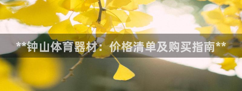 极悦娱乐代理：**钟山体育器材：价格清单及购买指南*