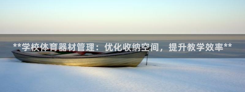 极悦平台官网入口登录：**学校体育器材管理：优化收纳