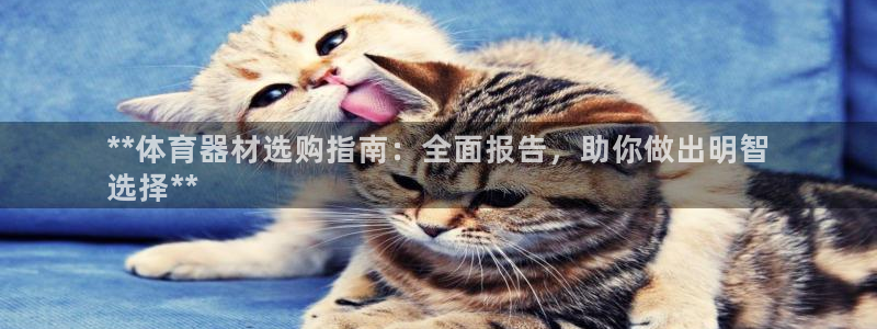 极悦娱乐的创始人背景故事是什么：**体育器材选购指南