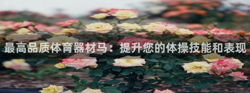 极悦平台官方网站入口：最高品质体育器材马：提升您的体