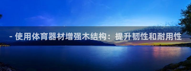 极悦平台用户评价：- 使用体育器材增强木结构：提升韧