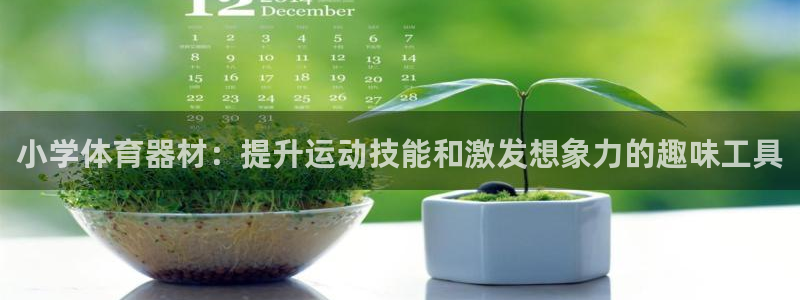 极悦官方网站入口网址：小学体育器材：提升运动技能和激