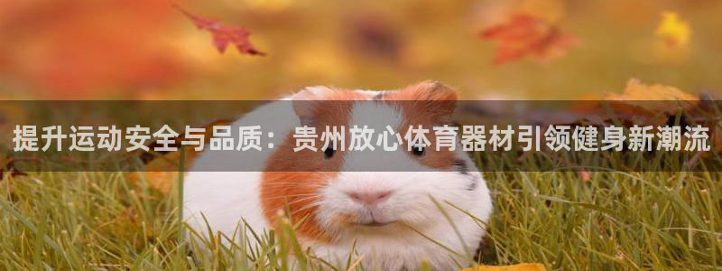 极悦平台注册流程图片：提升运动安全与品质：贵州放心体