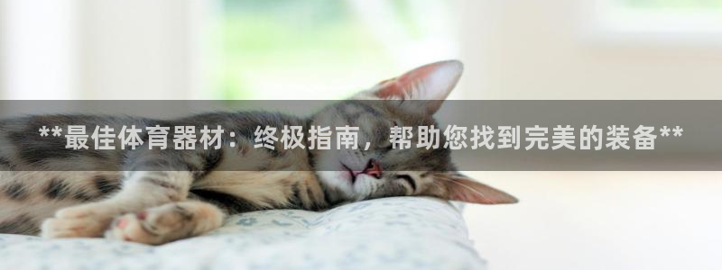 加盟极悦教育要多少钱：**最佳体育器材：终极指南，帮