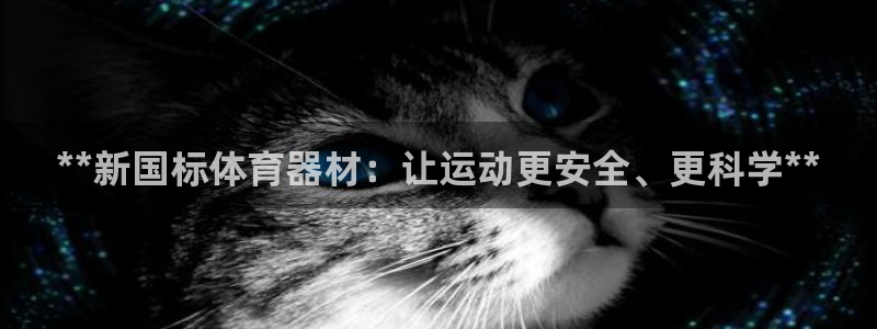 极悦平台代理怎么做赚钱：**新国标体育器材：让运动更
