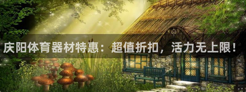 极悦平台用户反馈和反馈一样吗：庆阳体育器材特惠：超值