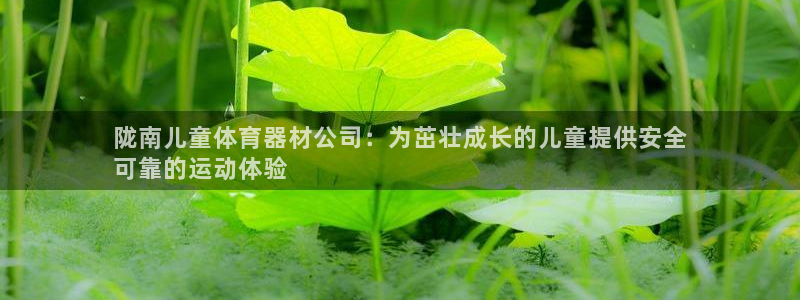 极悦平台客服的联系方式是多少：陇南儿童体育器材公司：
