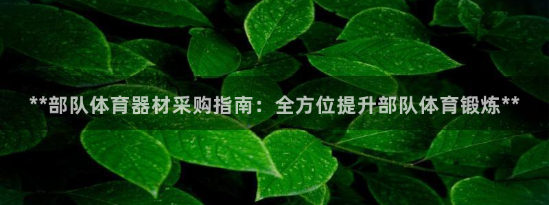 极悦平台官网入口登录：**部队体育器材采购指南：全方