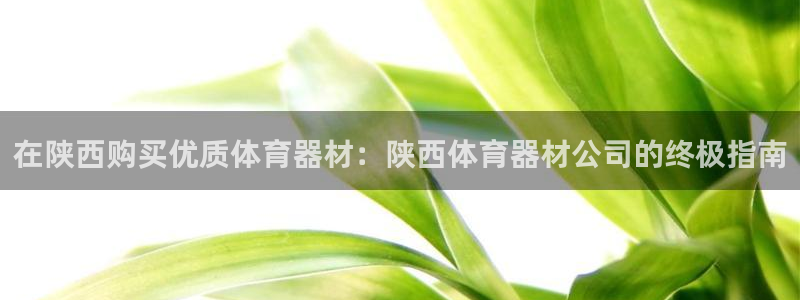 极悦娱乐创始人背景故事简介：在陕西购买优质体育器材：