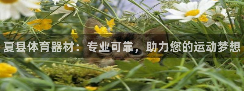 极悦娱乐下载官网安装：夏县体育器材：专业可靠，助力您