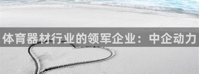 极悦平台官网入口网站：体育器材行业的领军企业：中企动