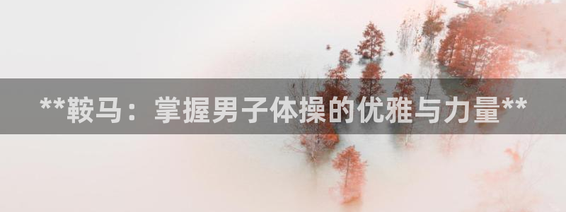 极悦平台官方网站入口下载：**鞍马：掌握男子体操的优