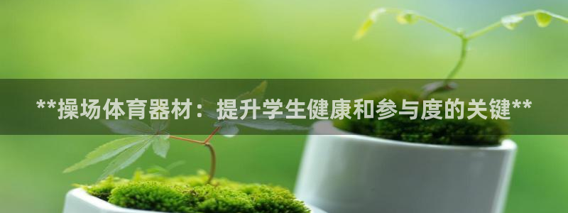 极悦牙膏怎么样：**操场体育器材：提升学生健康和参与