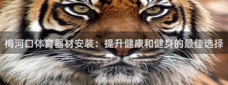 舒客极悦牙膏：梅河口体育器材安装：提升健康和健身的最