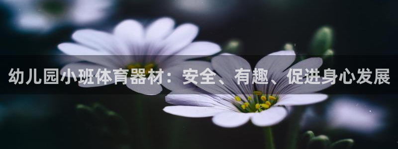 极悦娱乐官网最新版本更新内容下载：幼儿园小班体育器材