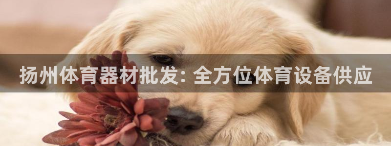 极悦平台登录入口注册不了：扬州体育器材批发: 全方位