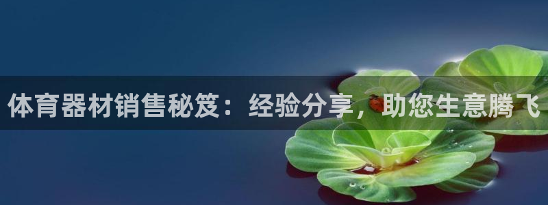 极悦平台代理：体育器材销售秘笈：经验分享，助您生意腾