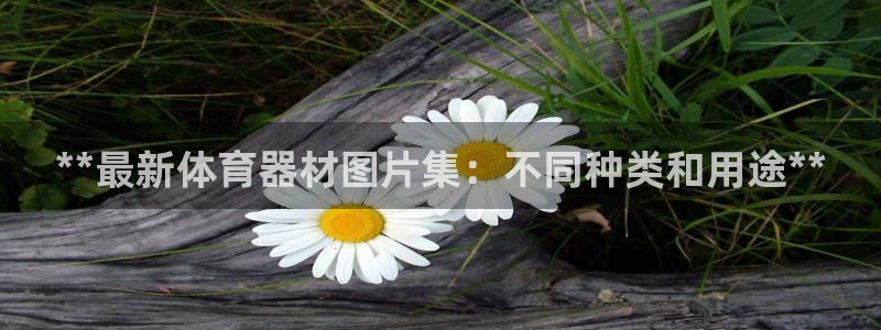 深圳极悦文化传媒有限公司：**最新体育器材图片集：不