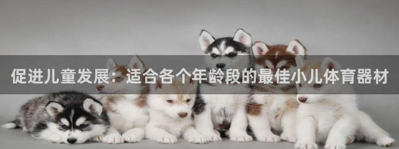 极悦官网旗舰店：促进儿童发展：适合各个年龄段的最佳小