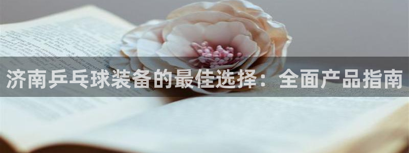 极悦平台app二维码怎么弄的：济南乒乓球装备的最佳选